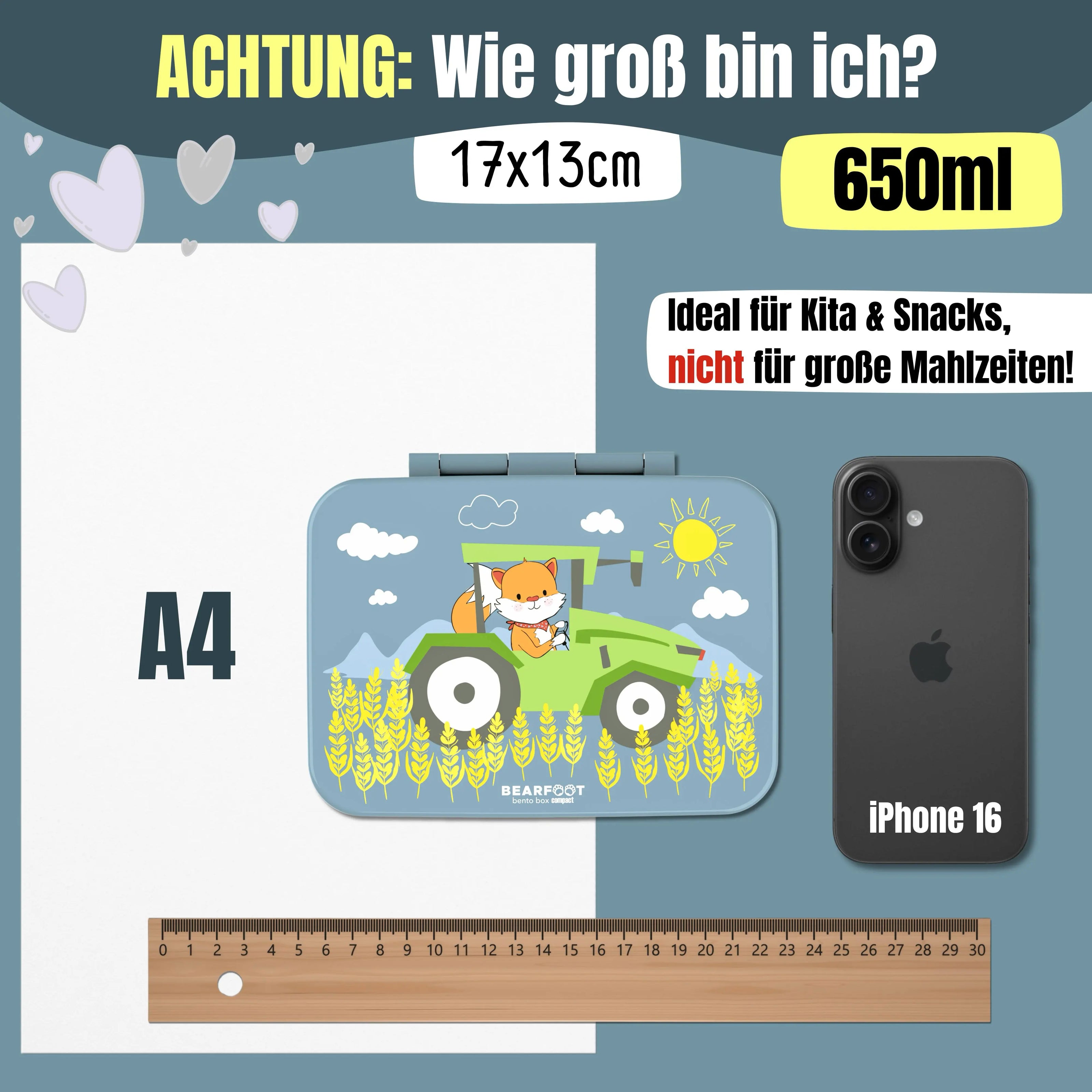 Größenvergleich der BEARFOOT Brotdose Traktor Blau 650 ml – kompakte BPA-freie Bento Lunchbox mit Maßen 17 × 13 cm für Kindergarten und Schule