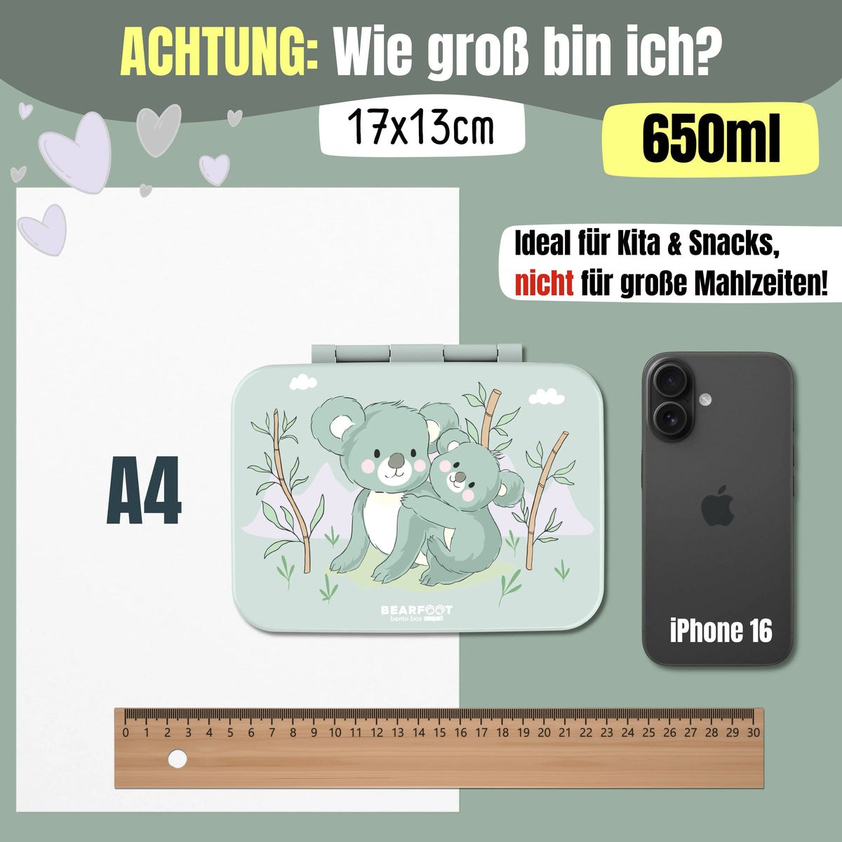 Größenvergleich der BEARFOOT Bento Brotdose Koala Salbei 650 ml – kompakte BPA-freie Kinder Lunchbox mit Maßen 17 × 13 cm für Kindergarten und Schule