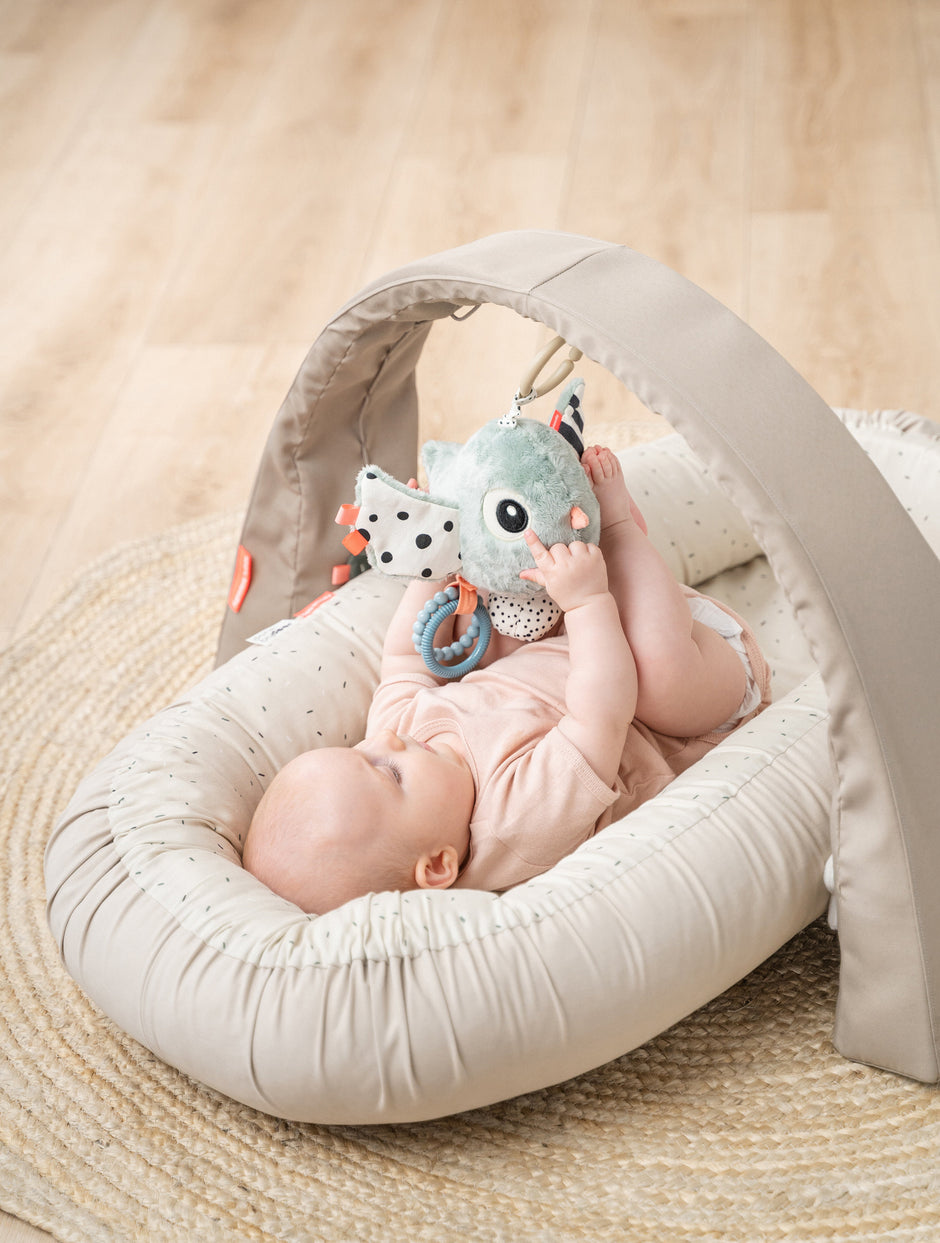 Activity Gym Lalee - Babylions